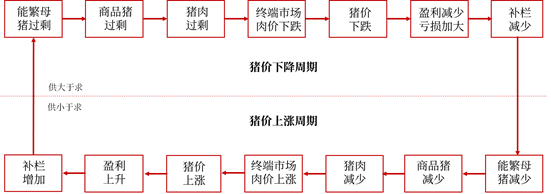 图1 猪周期示意图