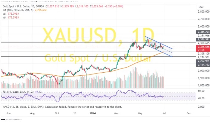 (现货黄金日线图 )