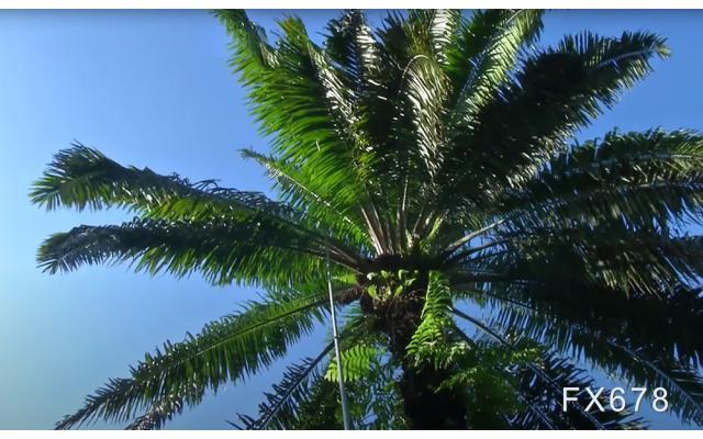 图片点击可在新窗口打开查看