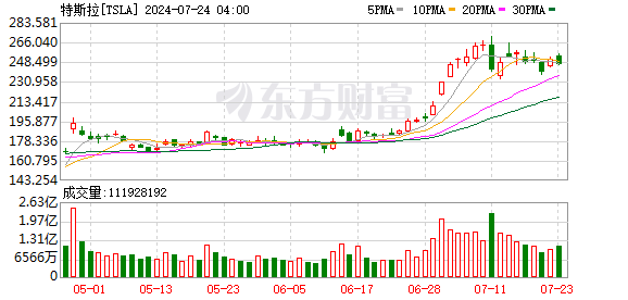 K图 TSLA_0