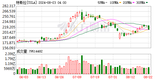 K图 TSLA_0