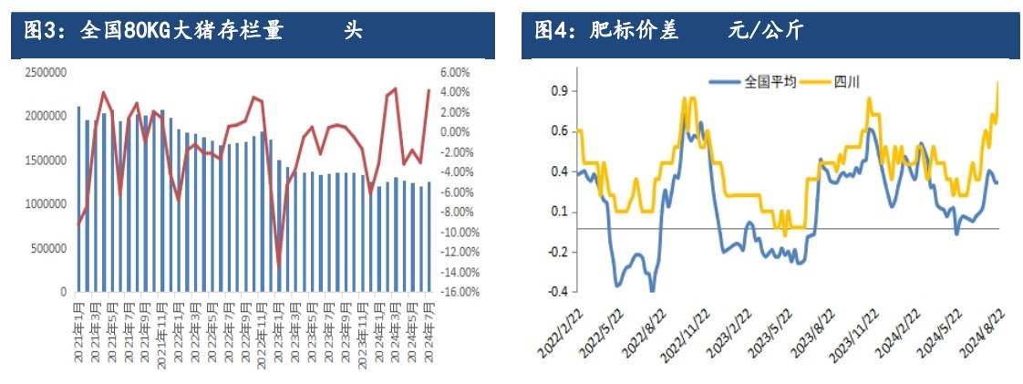 关联品种生猪所属公司：建信期货