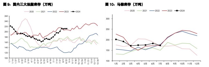 关联品种豆粕棕榈油所属公司：五矿期货