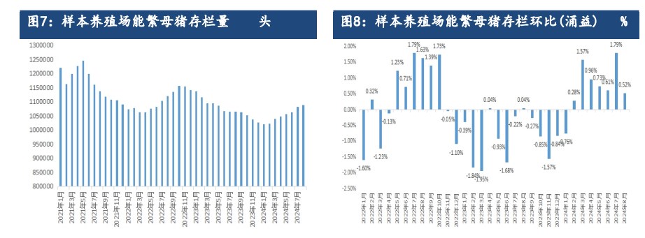 关联品种生猪所属公司：建信期货