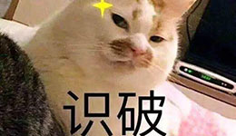 【MT4怎么登陆多个账户？】